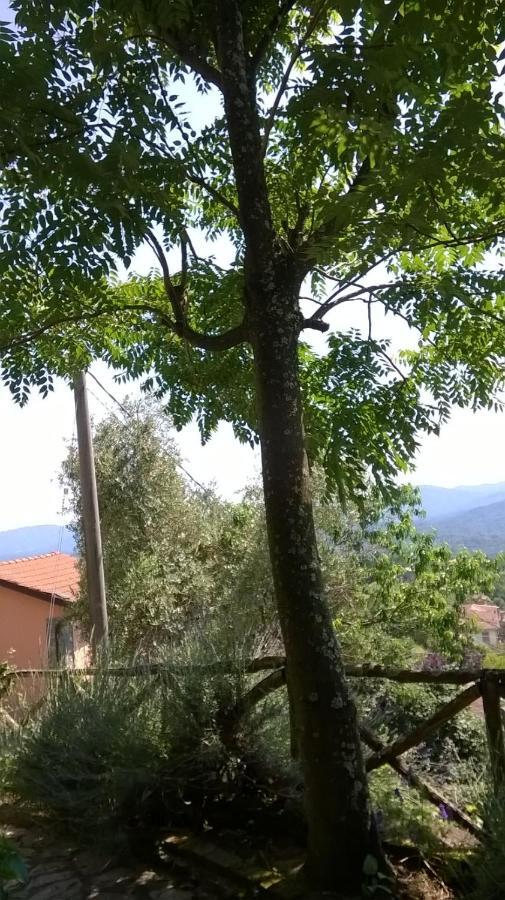 Villa Ca' Rosmunda Bagnone Exterior foto